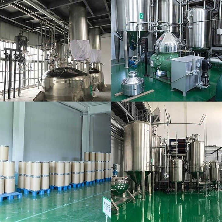 American Ginseng Powder factory