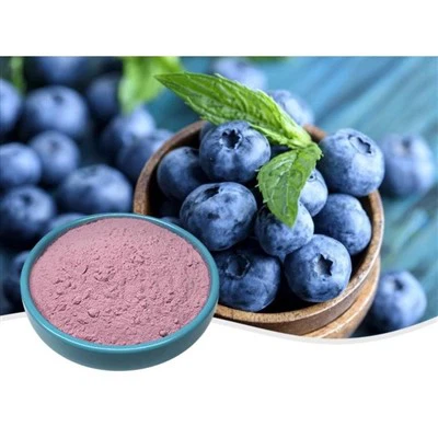 Organik Dondurularak-Kurutulmuş Yaban Mersini Tozu